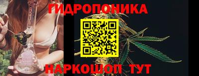 стаф Анапа