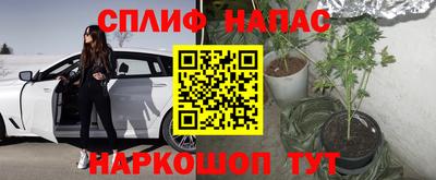 стаф Анапа