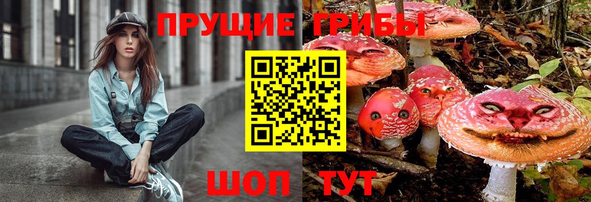 Псилоцибиновые грибы прущие грибы Тара